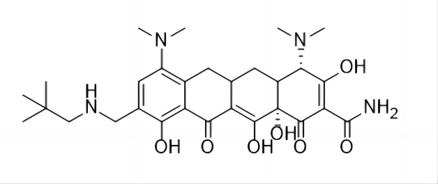 Omadacycline